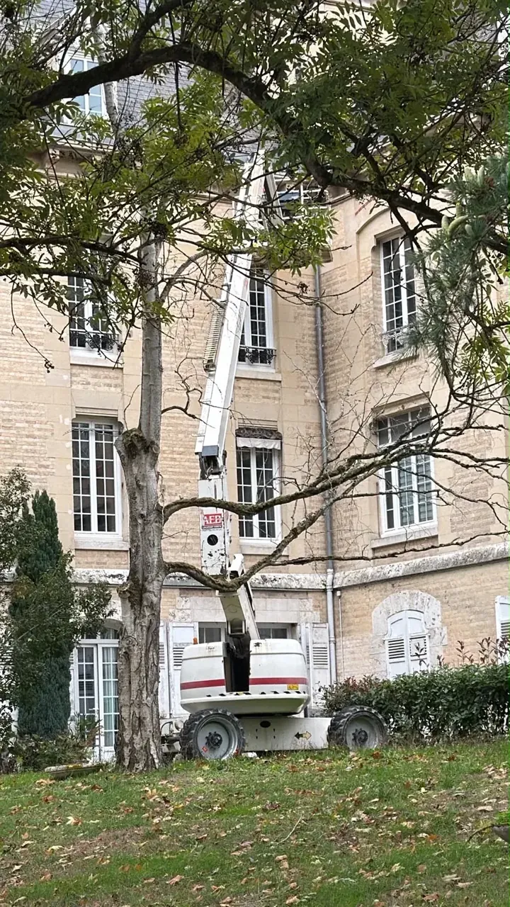 Nacelle élévatrice déployée devant une façade d'immeuble pour un dépigeonnage en hauteur